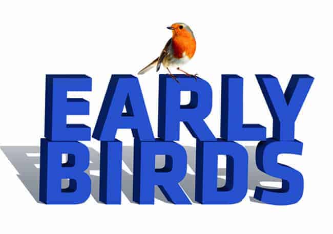 Early Birds Vogel und Schrift