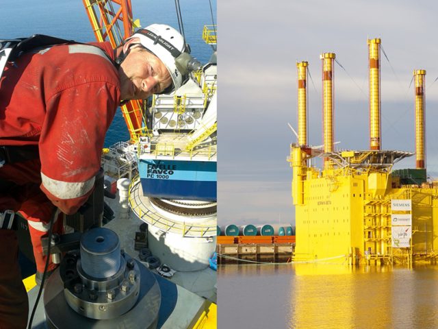 Establishment of SCHAAF Service GmbH